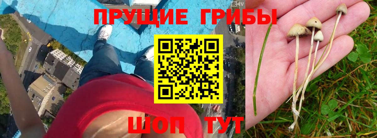 Галлюциногенные грибы Cubensis  Вход с VPN  Соликамск 